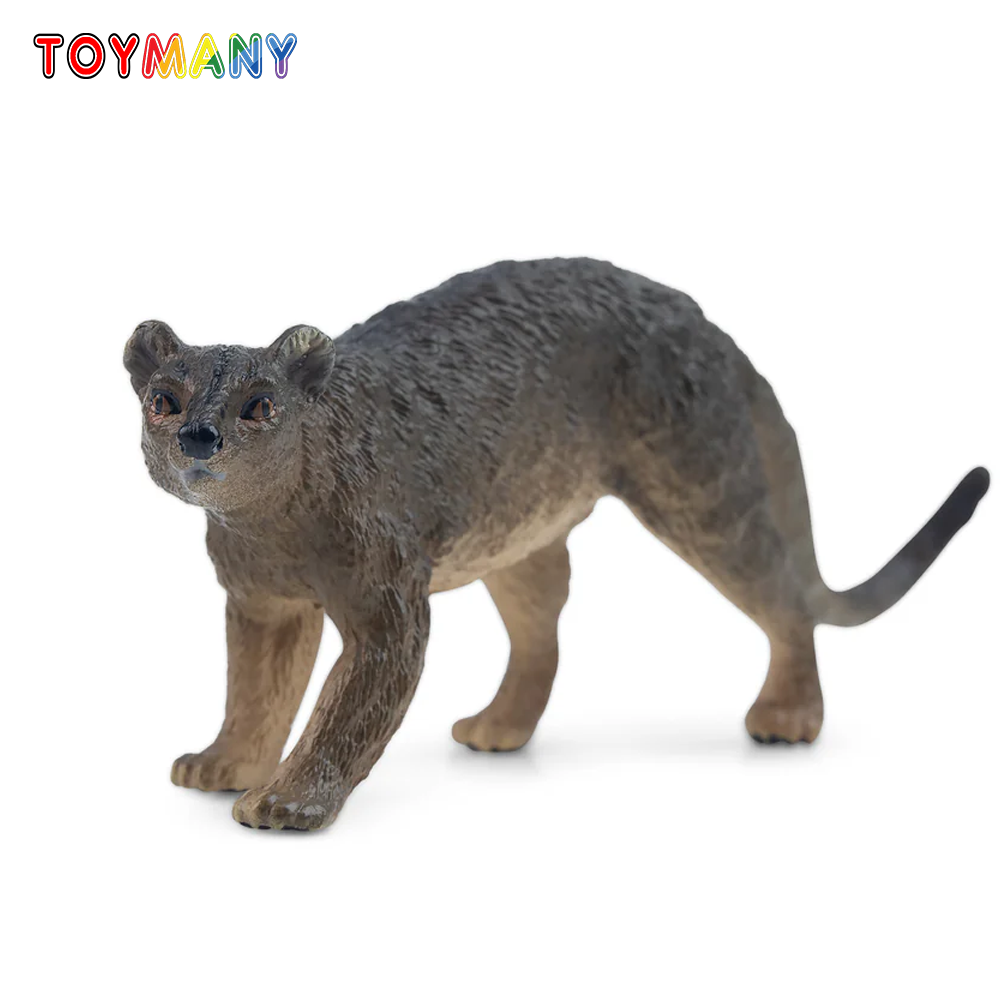 Kids Toys Under $5 - Toymany Simulation Fossa Madagascar modèle Animal