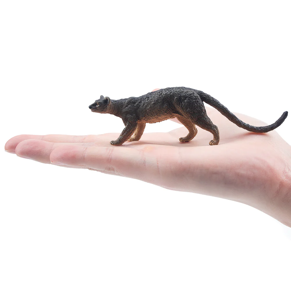 Toymany Simulation Fossa Madag - Kids Toys Under $5 avis et prix