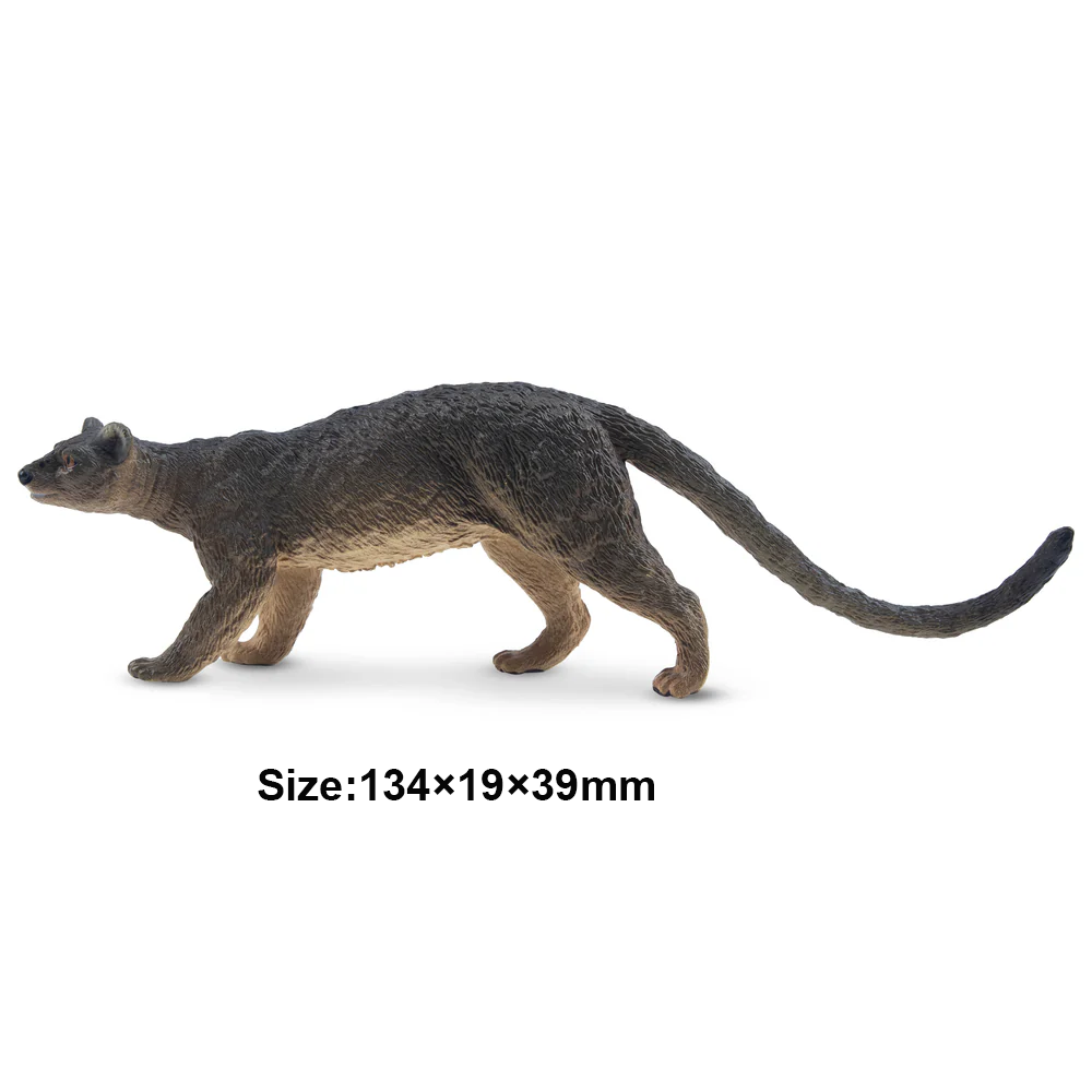 Toymany Simulation Fossa Madag - Kids Toys Under $5 avis et prix