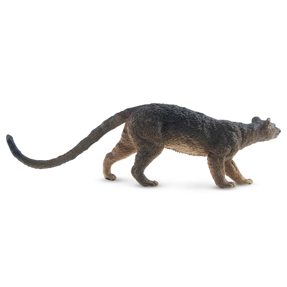 Toymany Simulation Fossa Madag - Kids Toys Under $5 avis et prix
