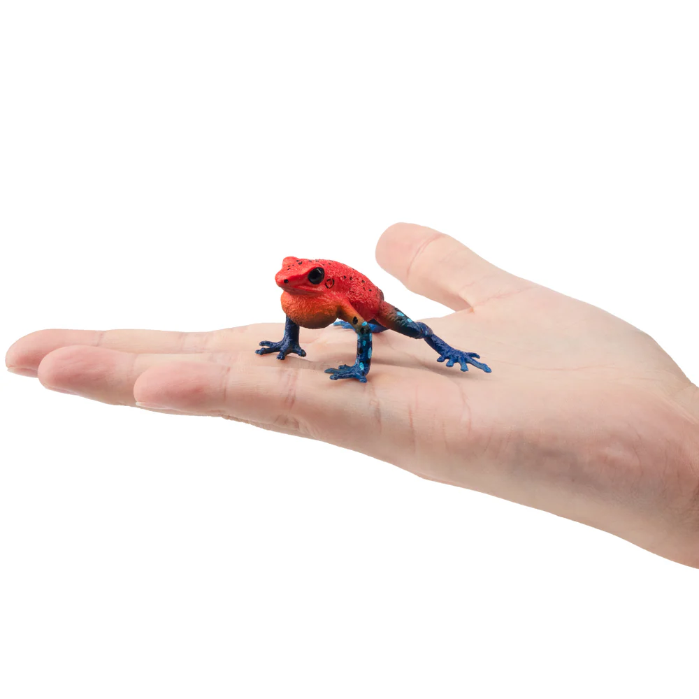 Toymany Simulation fraise gren - Kids Toys Under $5 avis et prix